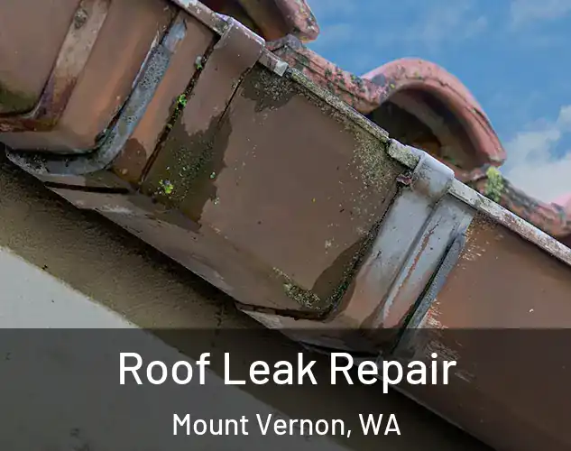  Roof Leak Repair Mount Vernon, WA